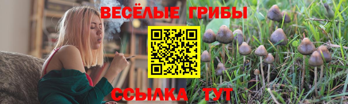 как найти закладки  Галлюциногенные грибы мухоморы  Вход с VPN  Вятские Поляны 